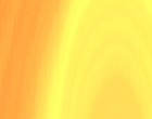 msn cam informationstechnik logo