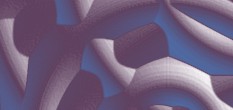 it berater bundesamt fuer sicherheit in der informationstechnik