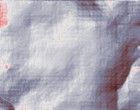 web cam software voyeur cam