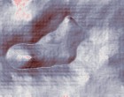 sex web cam usb pc cam 168 driver