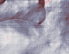 gruendung landesamt informationstechnik 1992 chat cam