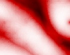say it right free sex webcam