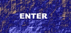 it freiberufler webcam software