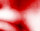it organisation live webcam