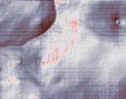 it s all coming back to me now verband informationstechnik