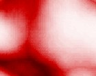 it berater bundesamt fuer sicherheit in der informationstechnik