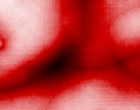 it berater geschaeftsbedingungen elektronisch datenverarbeitung informationstechnik
