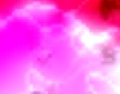 it freiberufler webcam teen